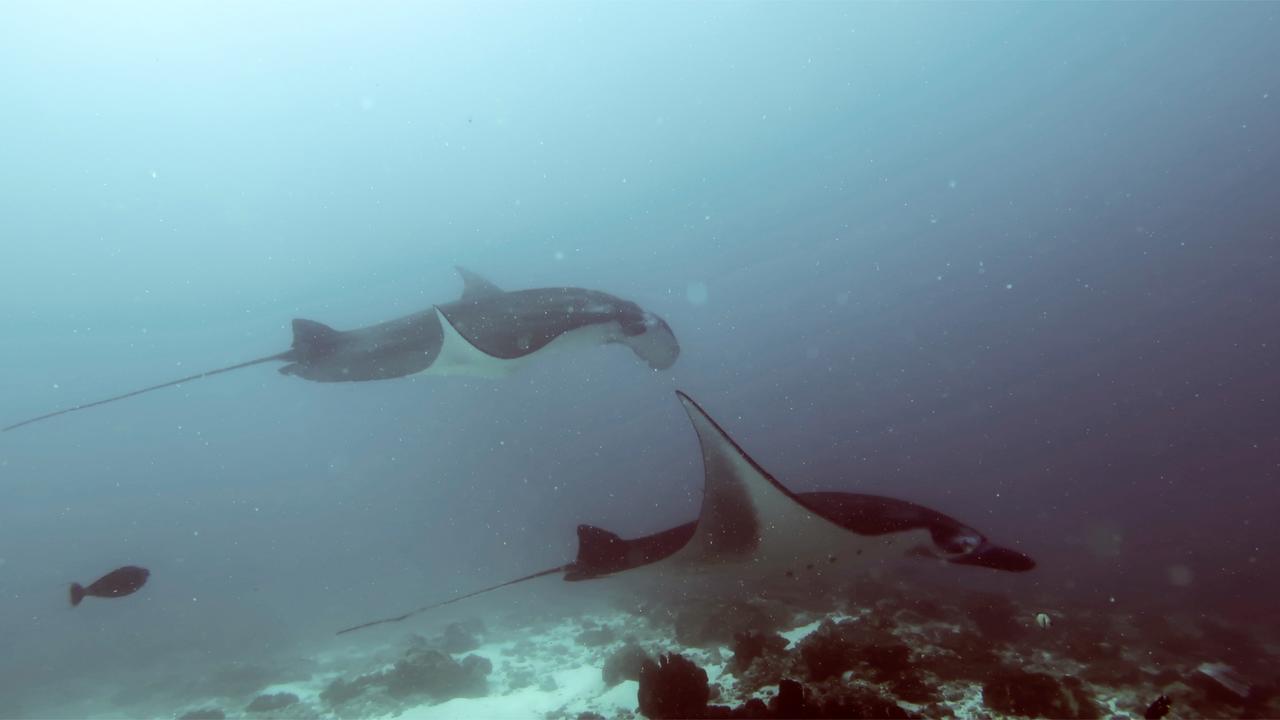 Absolute Scuba Bali Dive Resort Padangbai  Luaran gambar
